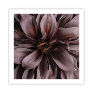 Plagát - Kvetinové srdce - 60x60 cm