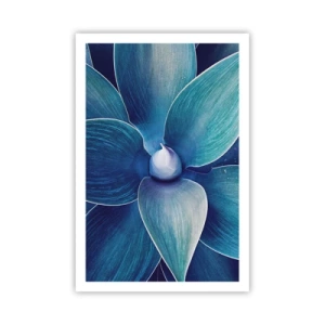 Plagát - Modrastý od neba - 61x91 cm