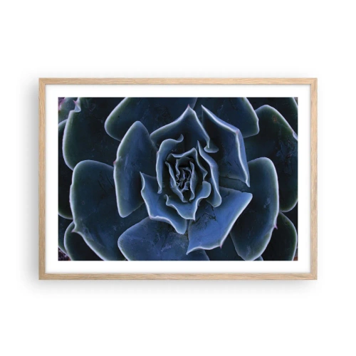 Plagát v ráme zo svetlého duba - Púštny kvet - 70x50 cm