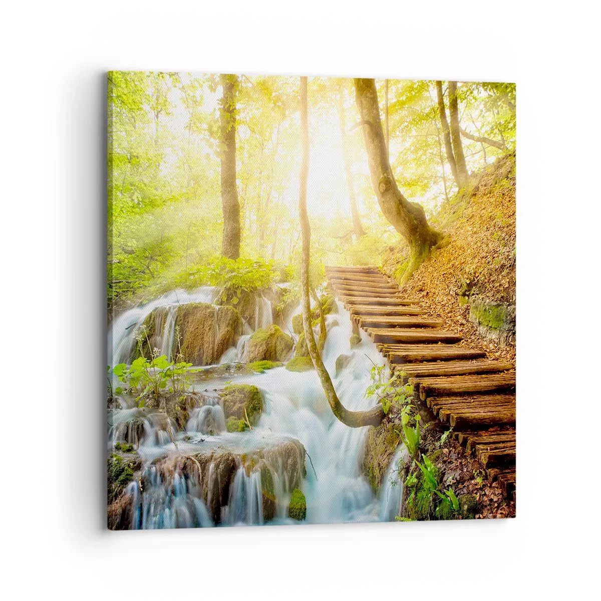 Obraz na plátne - Vytúžený chlad - 70x70 cm