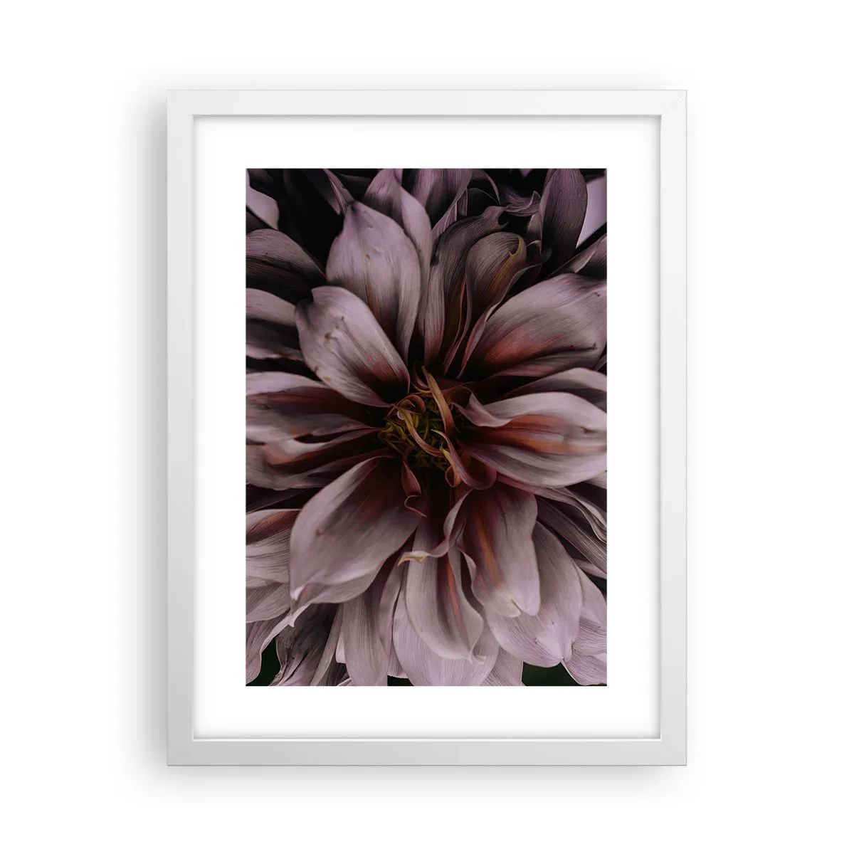 Plagát v bielom ráme - Kvetinové srdce - 30x40 cm