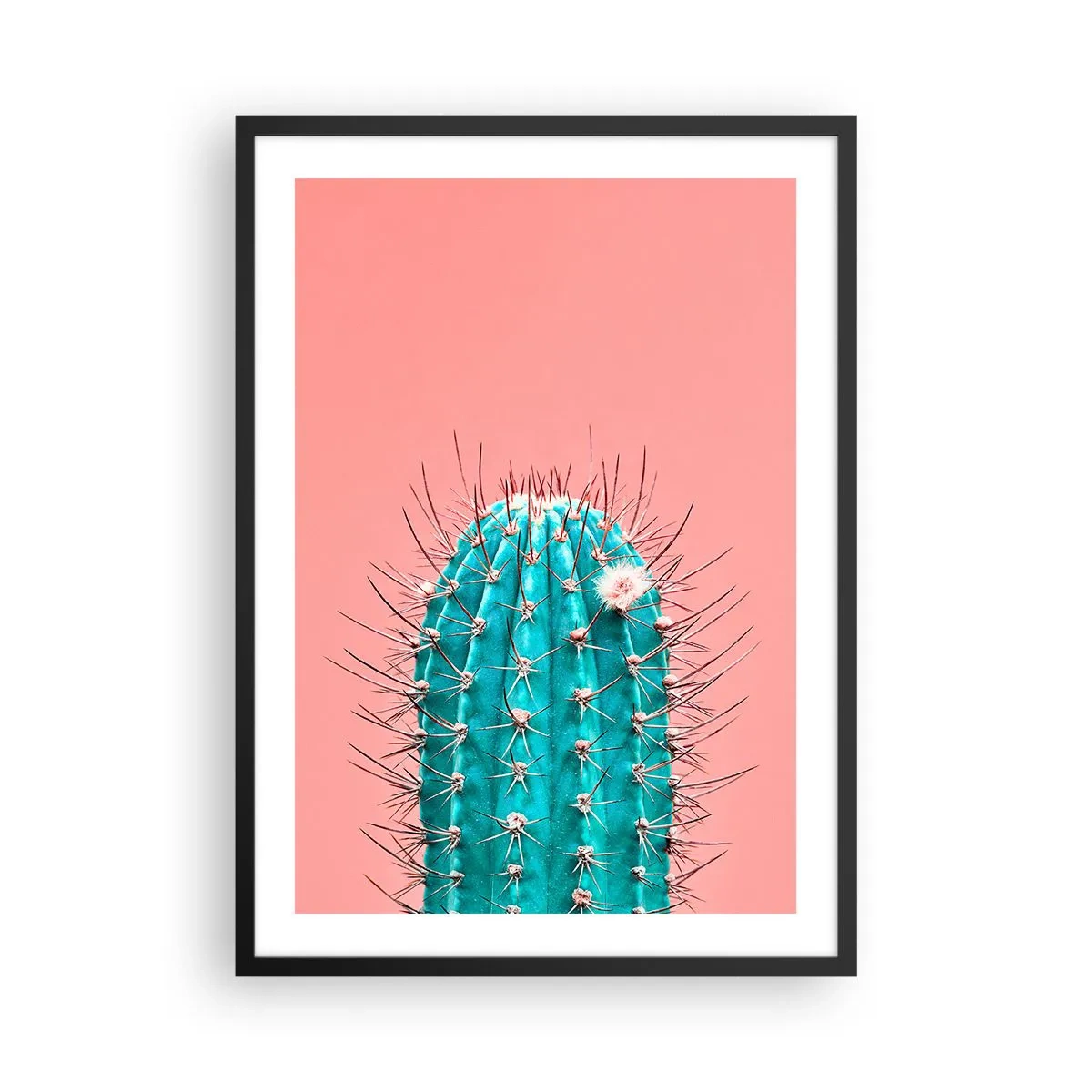 Plagát v čiernom ráme - Tyrkysový kaktus na ružovom pozadí - 50x70cm - Len pozeraj - Moderná nástenná dekorácia do obývacej izby a spálne ARTTOR