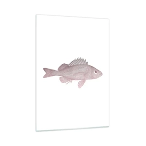 Obraz na skle - Ryba s veľkými očami - 50x70 cm