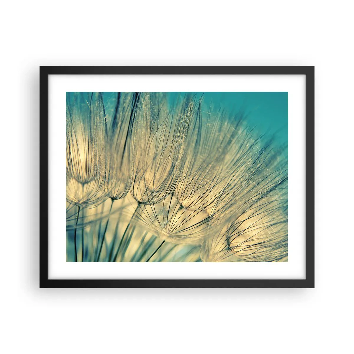 Plagát v čiernom ráme - Čakanie na vietor - 50x40 cm