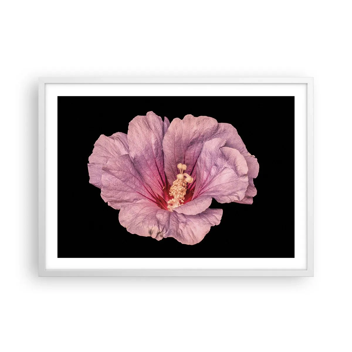 Plagát v bielom ráme - Priamo do srdca - 70x50 cm