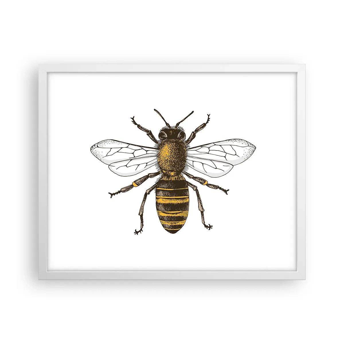 Plagát v bielom ráme - Krásna a dobrá - 50x40 cm