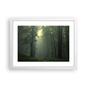 Plagát v bielom ráme - Než sa prebudí - 40x30 cm