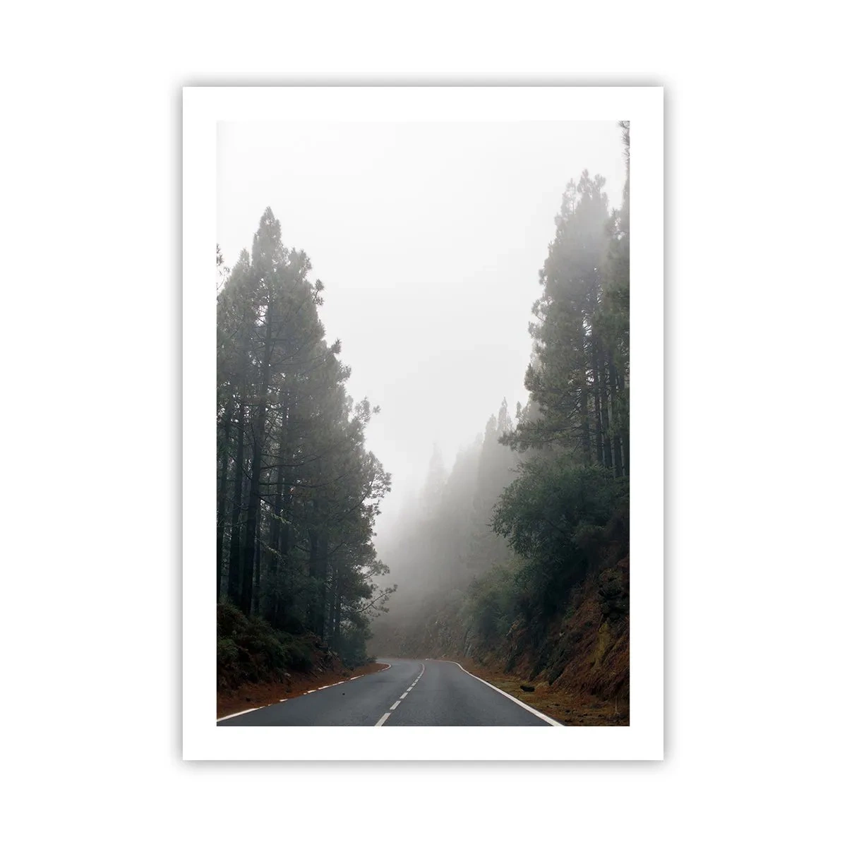 Plagát - Príbeh kúzelného lesa - 50x70 cm