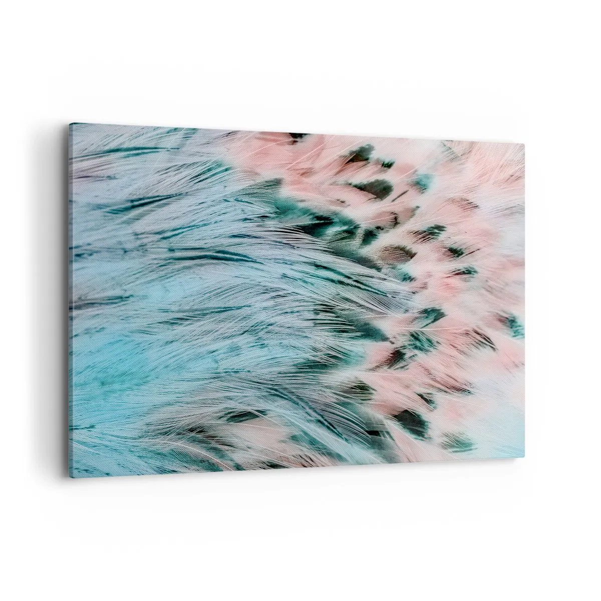 Obraz na plátne - Zafírovo ružové páperie - 100x70 cm