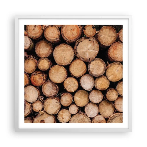 Plagát v bielom ráme - Nový začiatok - 60x60 cm