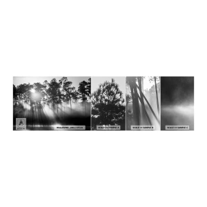 Vzorka samolepiacej fototapety Deluxe Sticker - Nezastaviteľné slnko - Krajina, les, Príroda - 100x30 cm