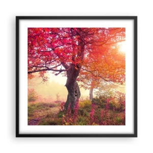 Plagát v čiernom ráme - Šialenstvo rozkvetu - 50x50 cm