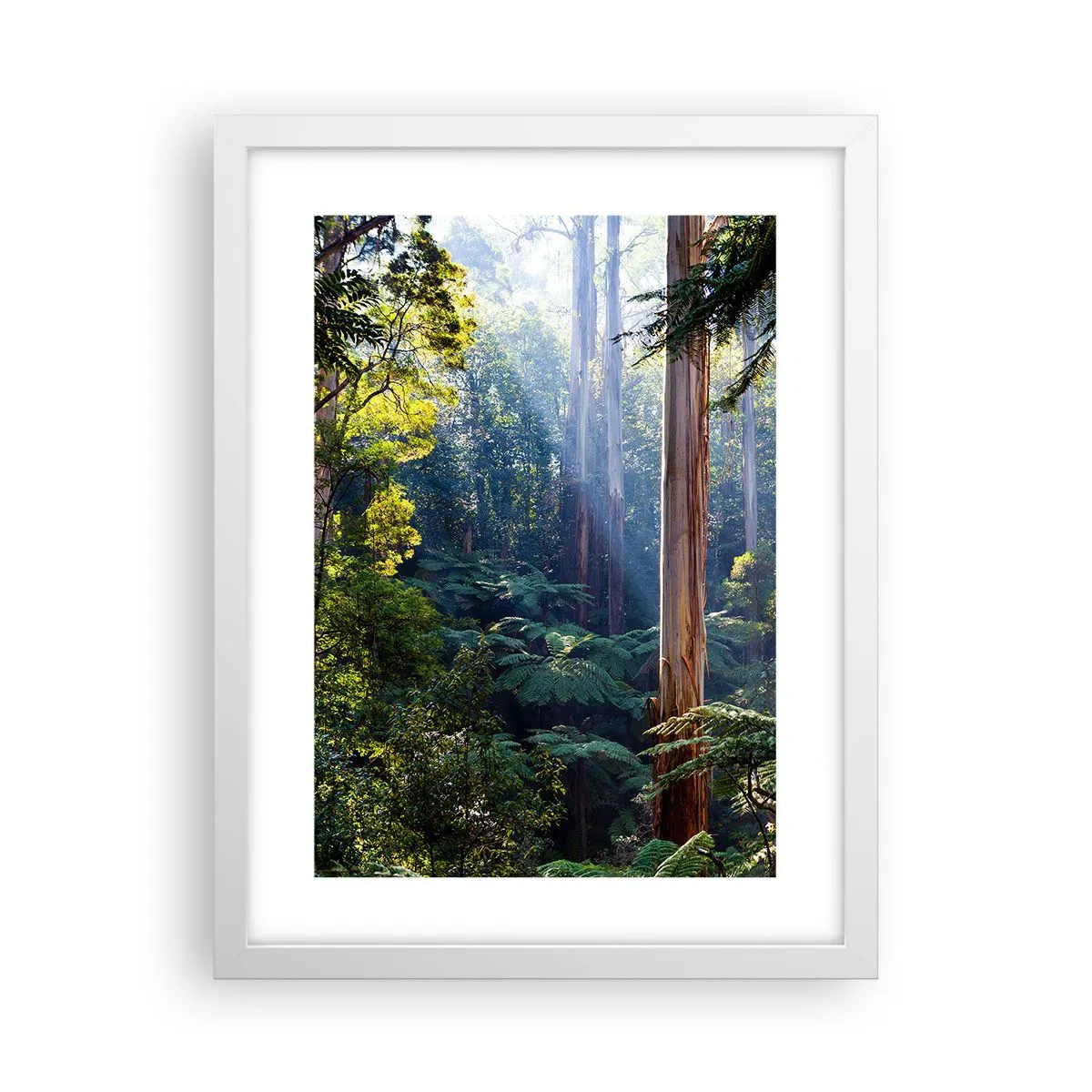 Plagát v bielom ráme - Poviedka lesa - 30x40 cm