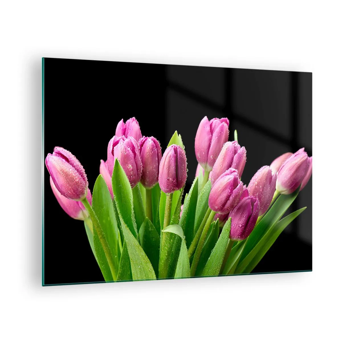 Obraz na skle - Kytica ružových tulipánov pokrytá kvapkami vody na čiernom pozadí. - 70x50cm - Ľaliové potešenie jari - Moderná nástenná dekorácia do obývacej izby a spálne ARTTOR