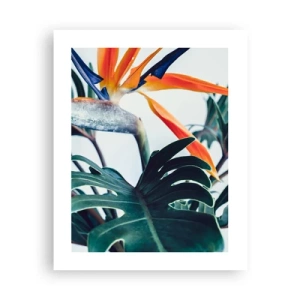 Plagát - Vtáker - 40x50 cm