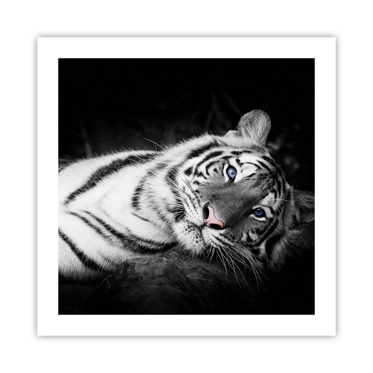 Plagát - Divočina a pokoj - 50x50 cm