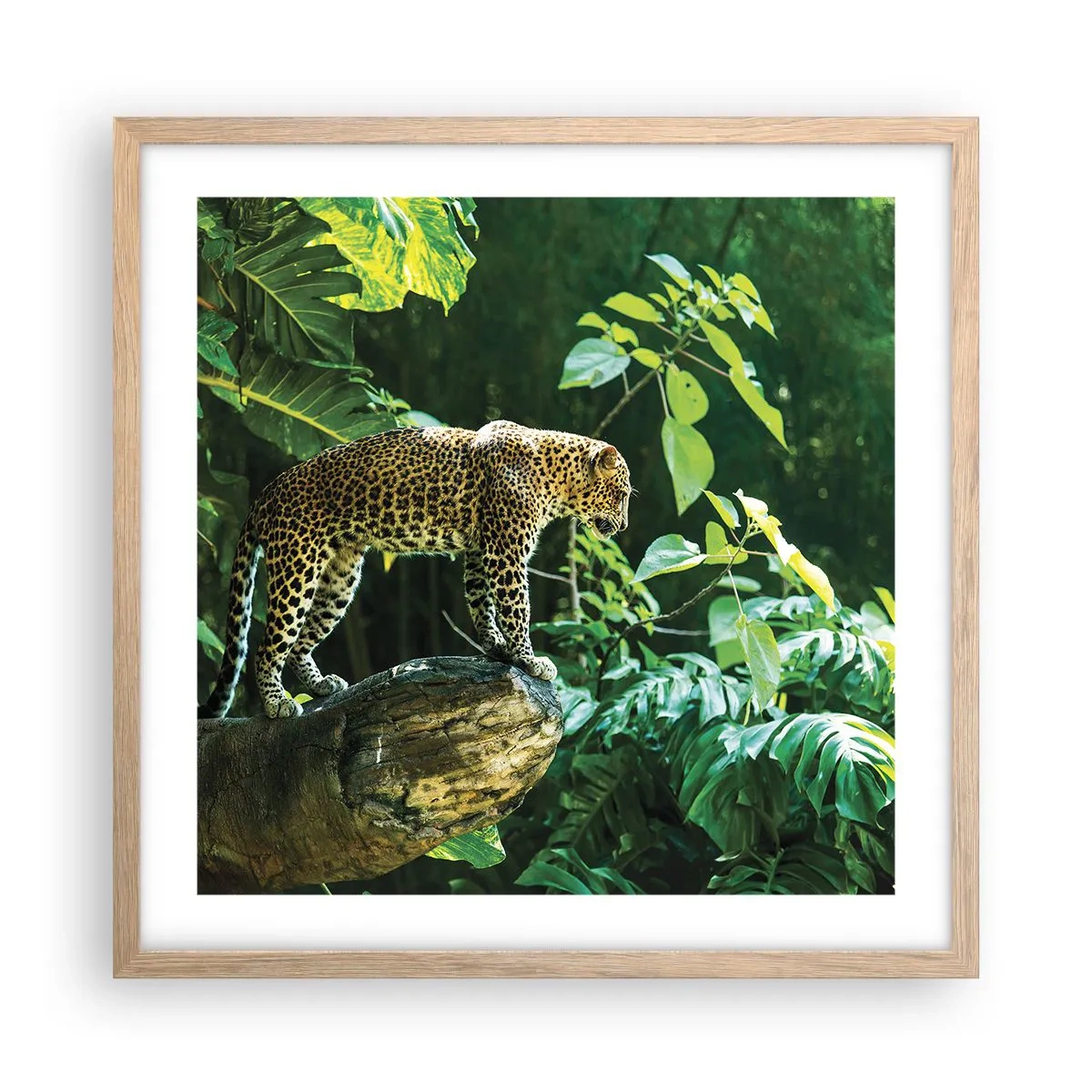 Plagát v ráme zo svetlého duba - Na lov? - 50x50 cm