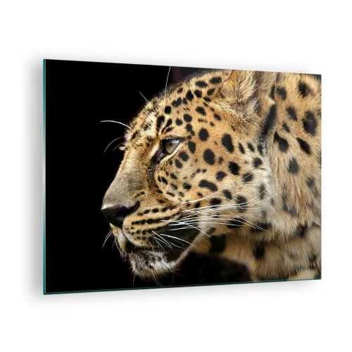 Obraz na skle - Profil leoparda na čiernom pozadí - 70x50cm - Pokojný, sústredený, pripravený - Moderná nástenná dekorácia do obývacej izby a spálne ARTTOR