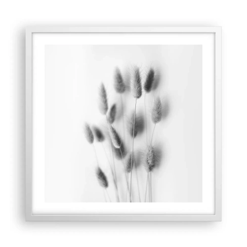 Plagát v bielom ráme - Našuchorená tráva - 50x50 cm