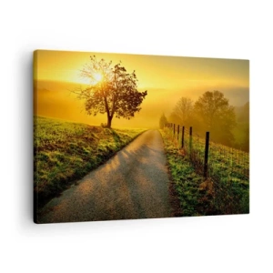 Obraz na plátne - Malebná cesta pri západe slnka s osamelým stromom v pozadí - 70x50cm - Medové popoludnie - Moderná nástenná dekorácia do obývacej izby a spálne ARTTOR