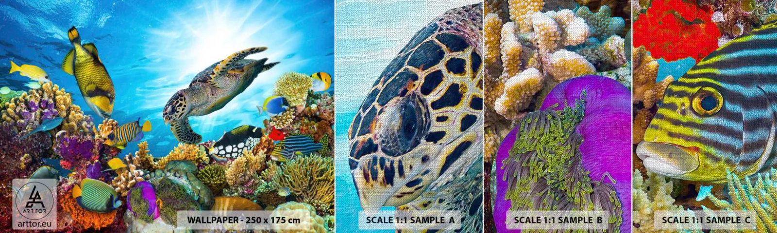 Vzorka fototapety Premium Canvas - Koralová promenáda - koralový útes, More, Podmorský svet - 100x30 cm