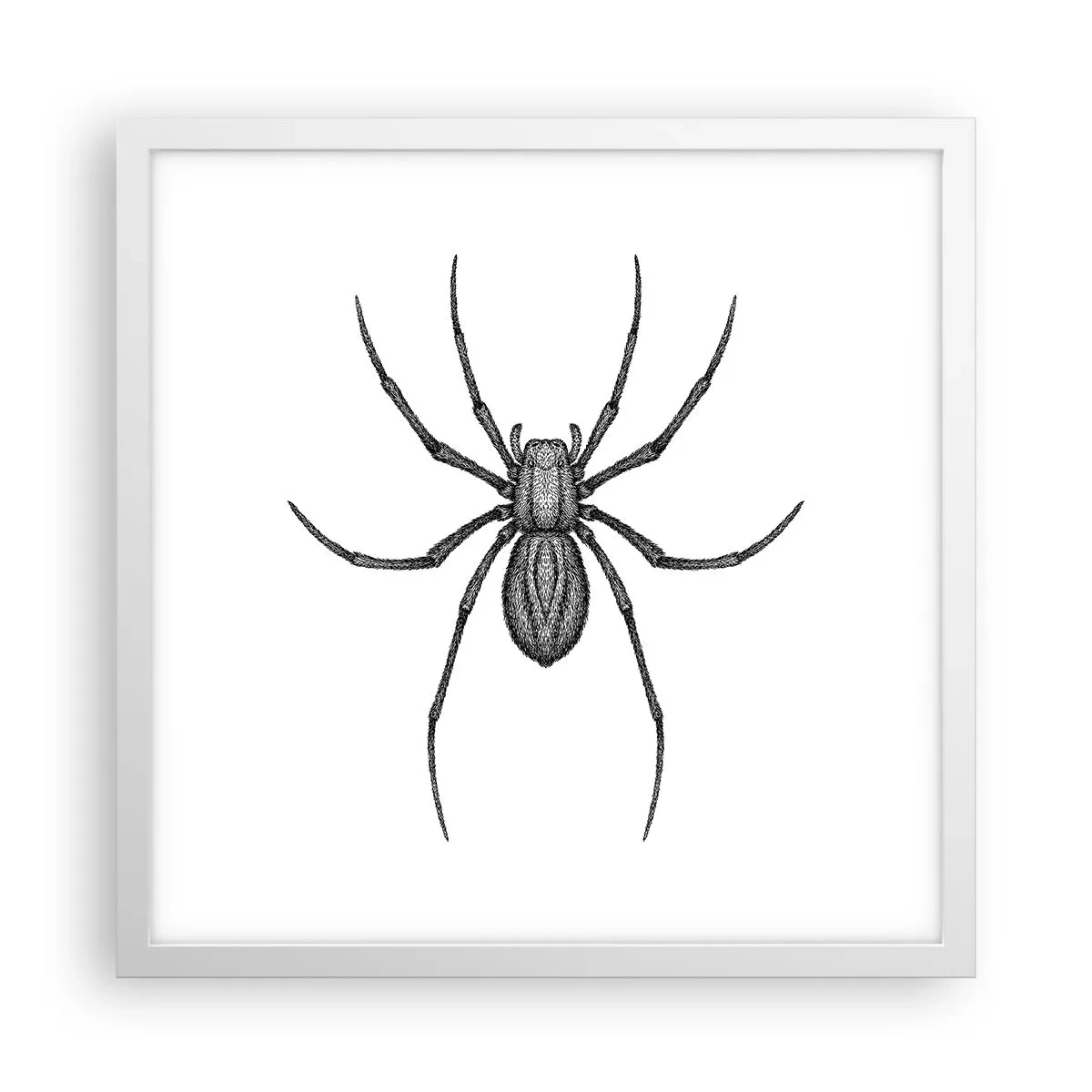 Plagát v bielom ráme - Znepokojivá presnosť - 40x40 cm