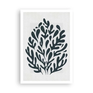 Plagát - Tvary prírody - 70x100 cm