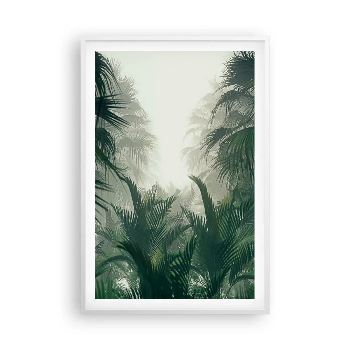 Plagát v bielom ráme - Tropická záhada - 61x91 cm