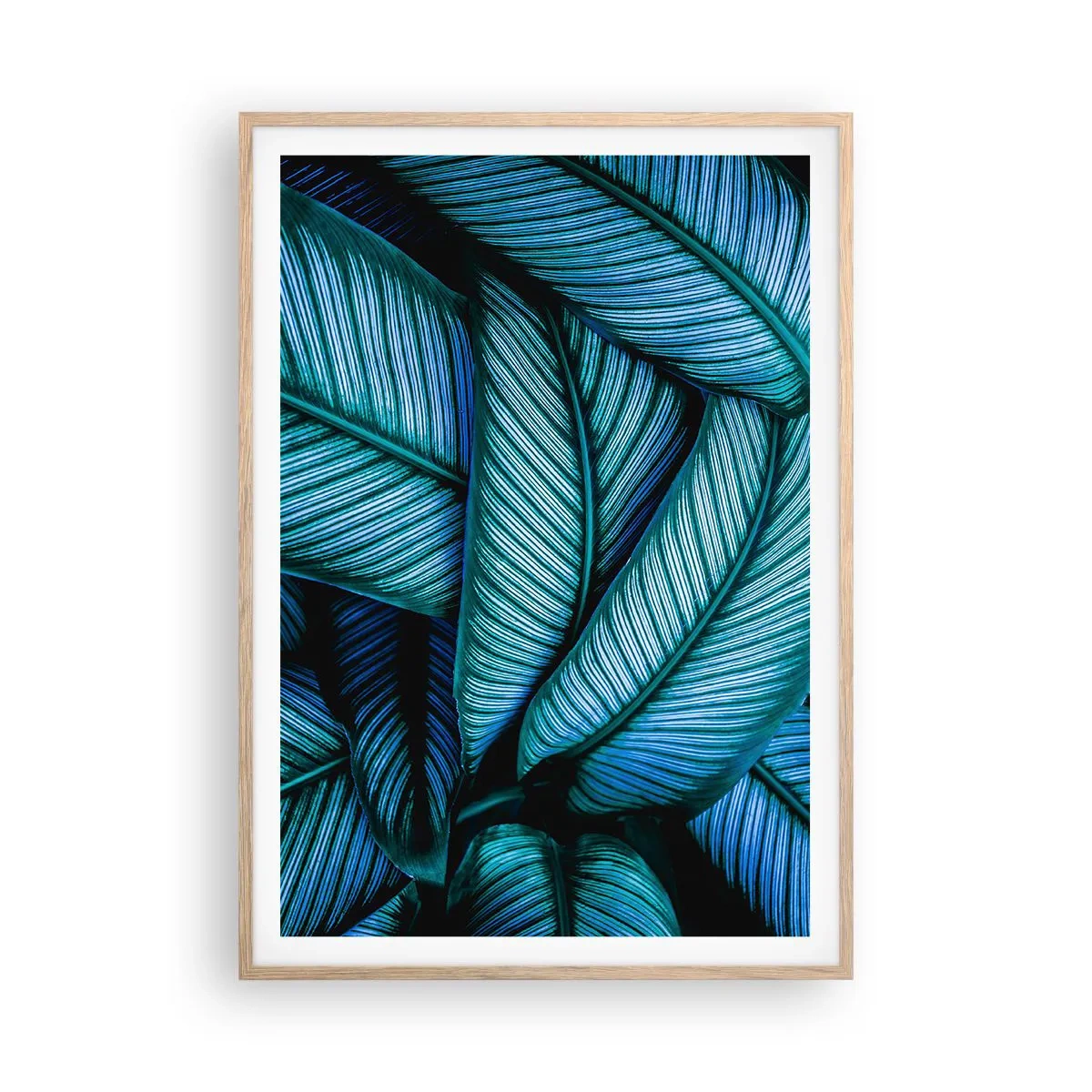 Plagát v ráme zo svetlého duba - Čiary života - 70x100 cm