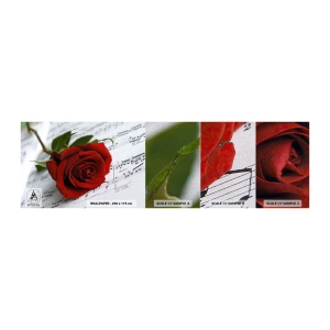 Vzorka fototapety Premium Canvas - Hudba pocitu v šarlátovej - Kvety, Rose, Hudba - 100x30 cm