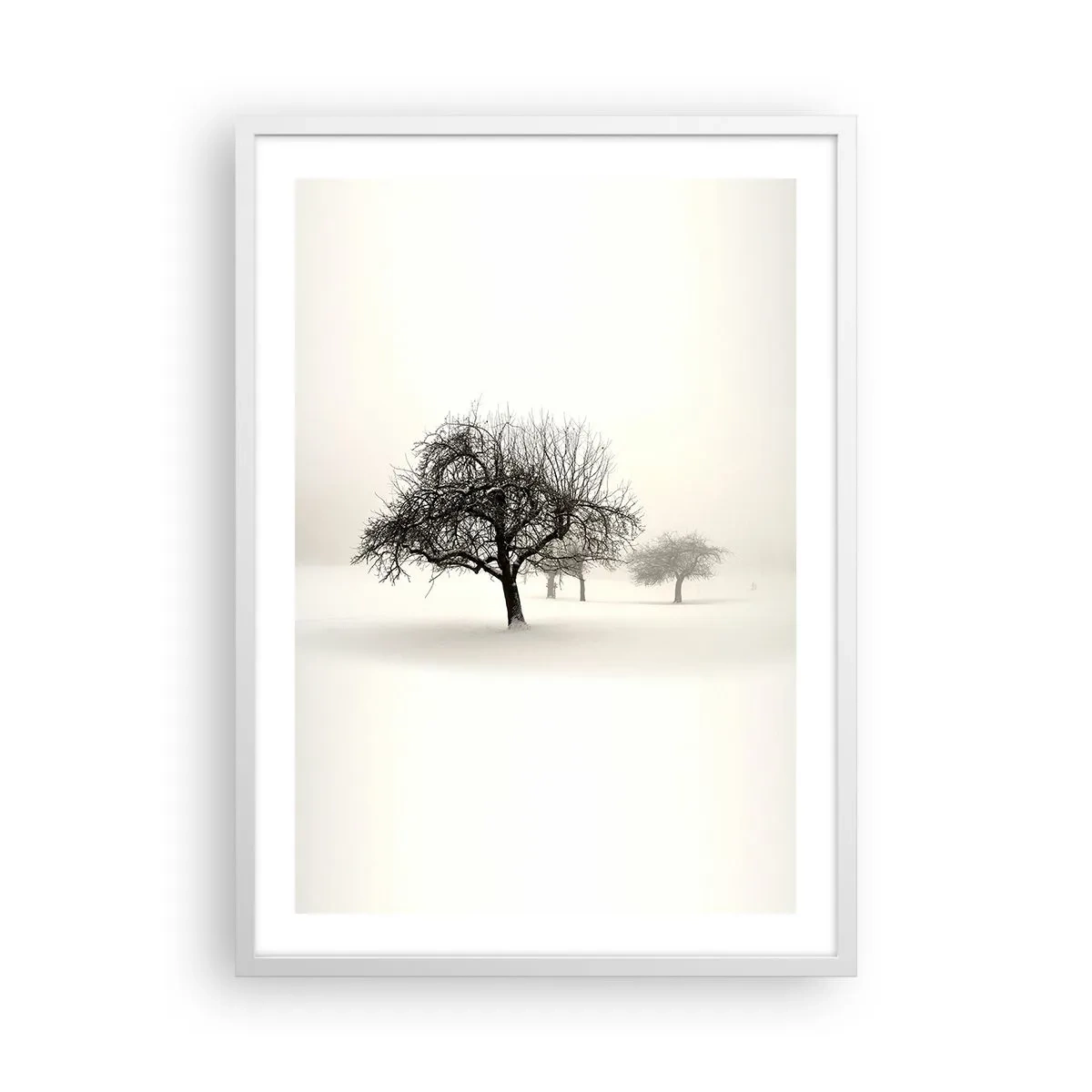 Plagát v bielom ráme - Zimný sen - 50x70 cm