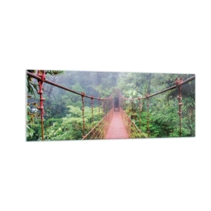 Obraz na skle - Zavesený nad korunami - 140x50 cm