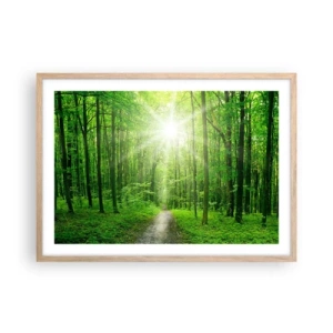 Plagát v ráme zo svetlého duba - Zelená katedrála - 70x50 cm