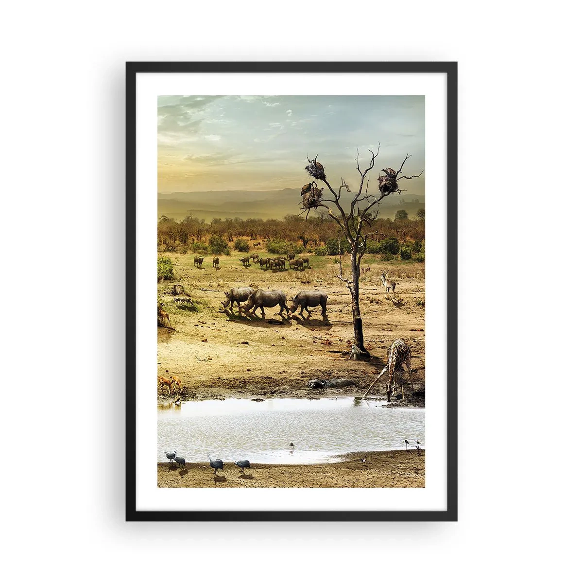 Plagát v čiernom ráme - Savana s nosorožcami a napájadlom - 50x70cm - „Z raja opäť pramenila rieka…“ - Moderná nástenná dekorácia do obývacej izby a spálne ARTTOR