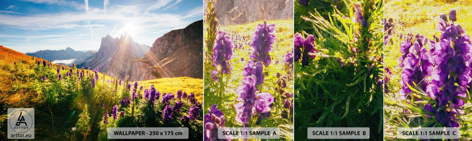 Vzorka fototapety Premium Canvas - Tajomný život bylín - Krajina, hory, Horské chodníky - 100x30 cm