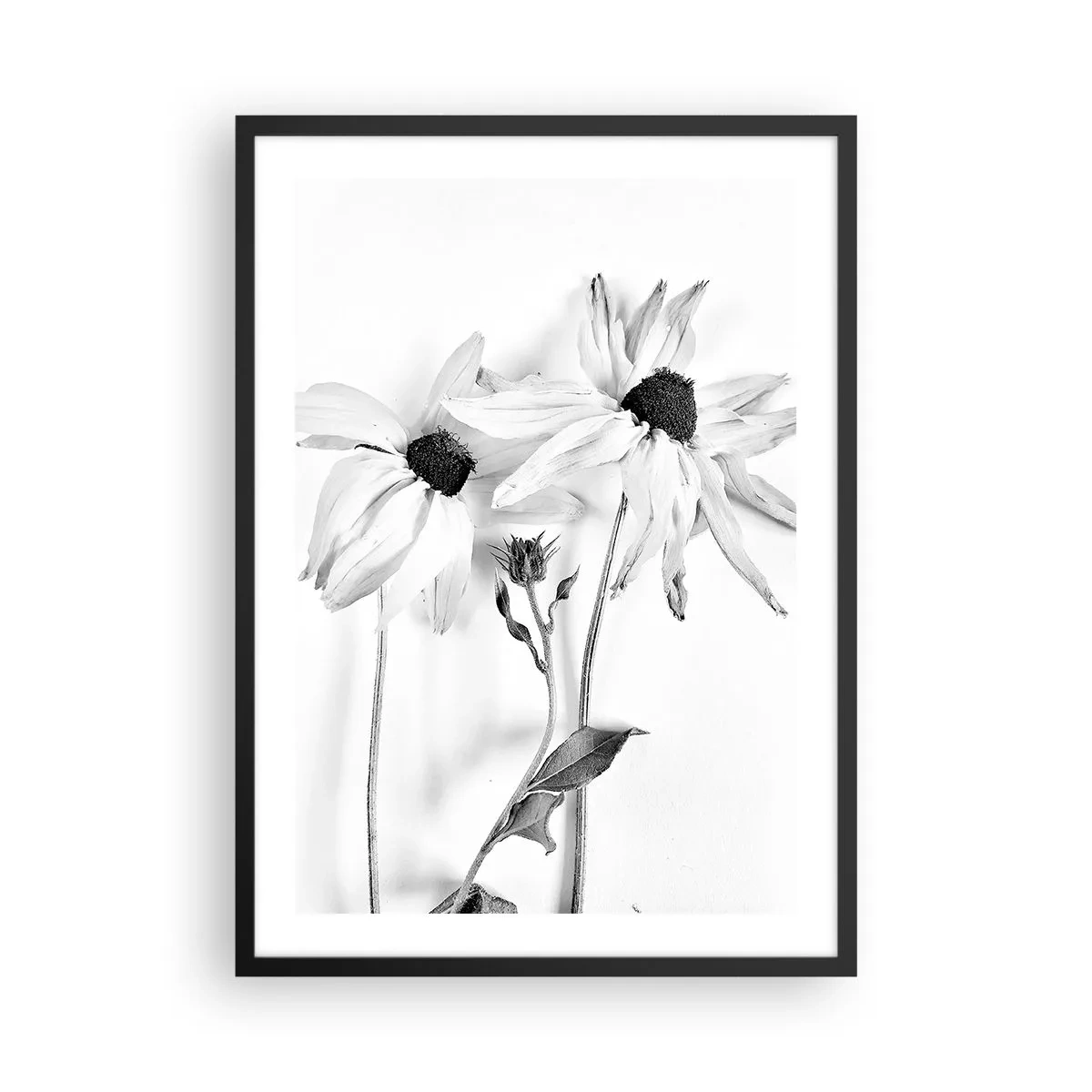 Plagát v čiernom ráme - Čiernobiele kvety v minimalistickom štýle na svetlom pozadí - 50x70cm - Nikto nechce byť sám - Moderná nástenná dekorácia do obývacej izby a spálne ARTTOR
