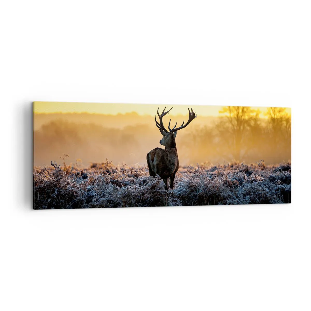 Obraz na plátne - Korunovaný na svojom panstve - 140x50 cm