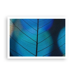 Plagát - Až do detailov - 100x70 cm