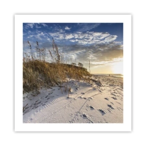 Plagát - Pozvánka na prechádzku - 50x50 cm