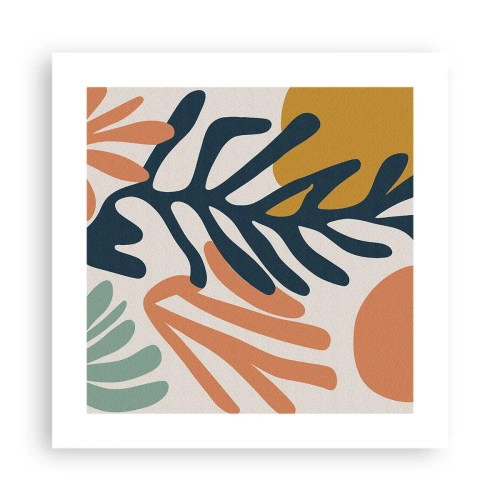 Plagát - Koralové more - 40x40 cm