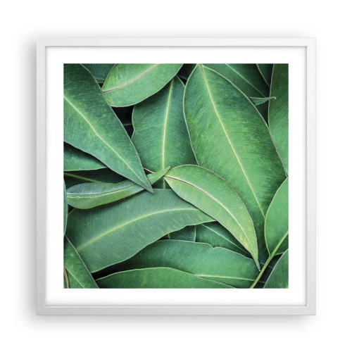 Plagát v bielom ráme - Šťavnaté a svieže - 50x50 cm