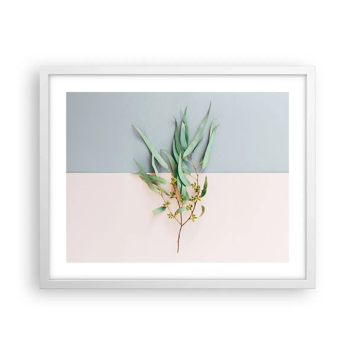 Plagát v bielom ráme - Pastelová jemnosť - 50x40 cm