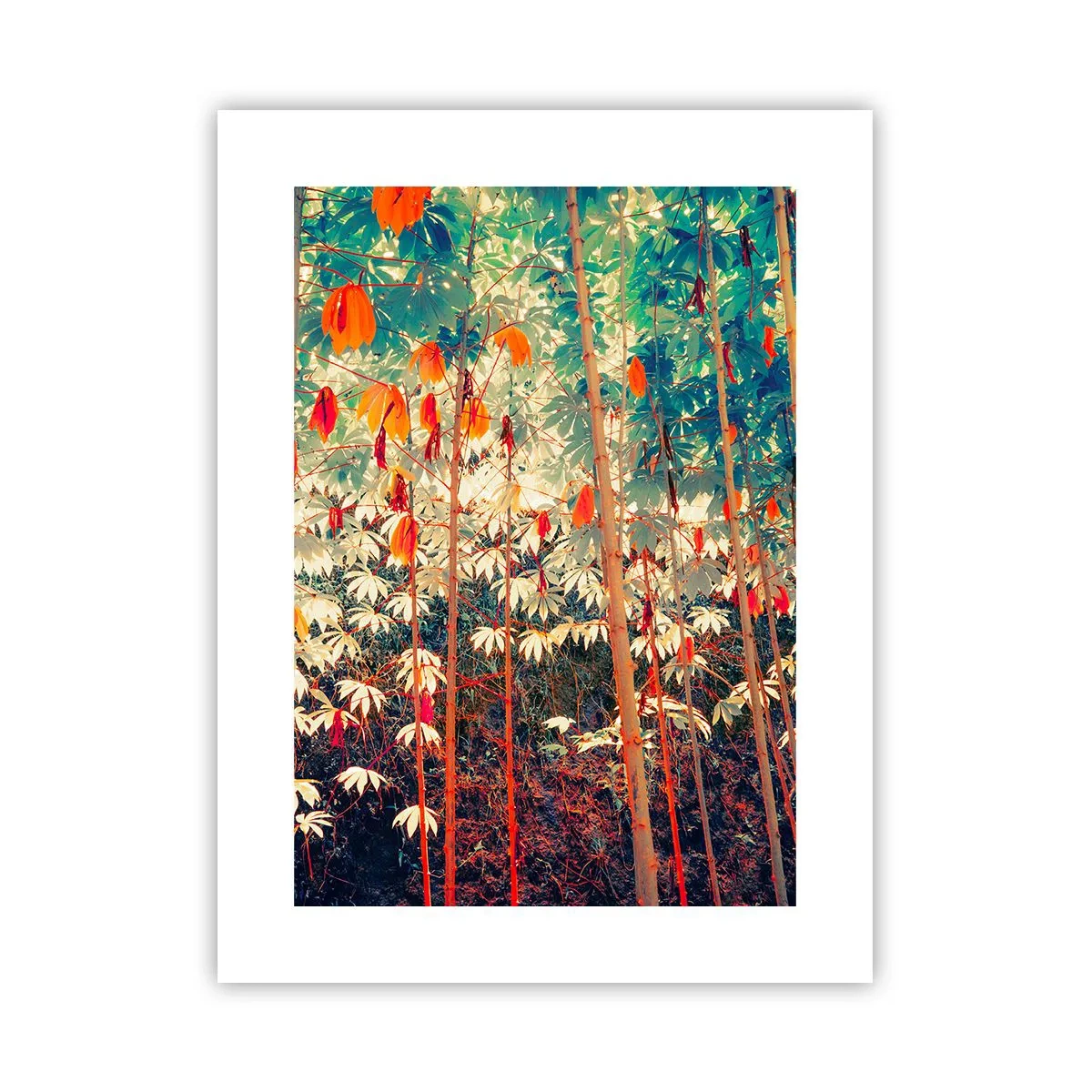 Plagát - Tajný život listov - 30x40 cm