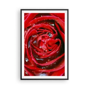 Plagát v čiernom ráme - V kvapkách rosy - 61x91 cm