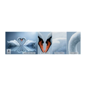 Vzorka fototapety Premium Canvas - Čas na lásku - Labute, Láska, Srdce - 100x30 cm