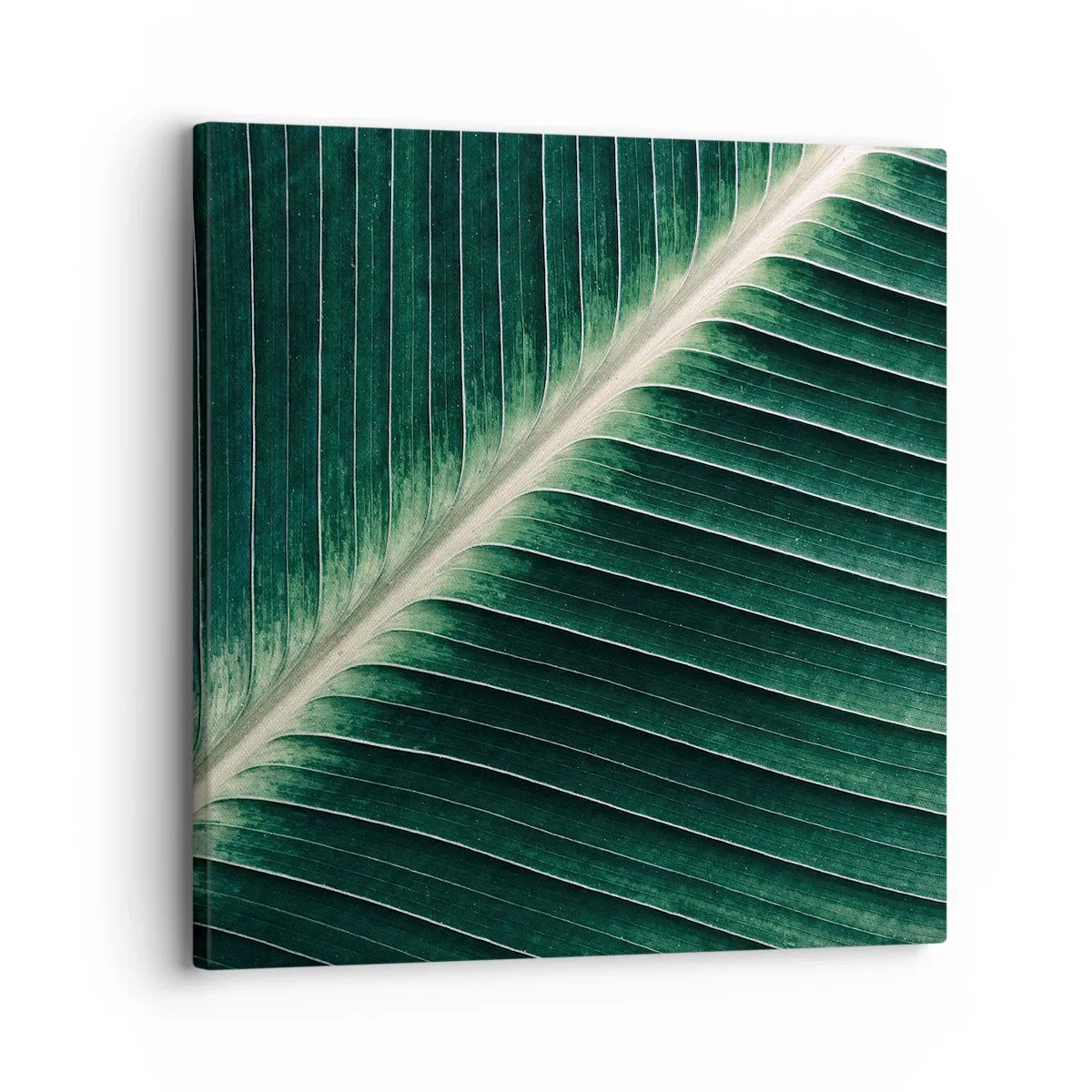 Obraz na plátne - Rytmus prírody - 30x30 cm
