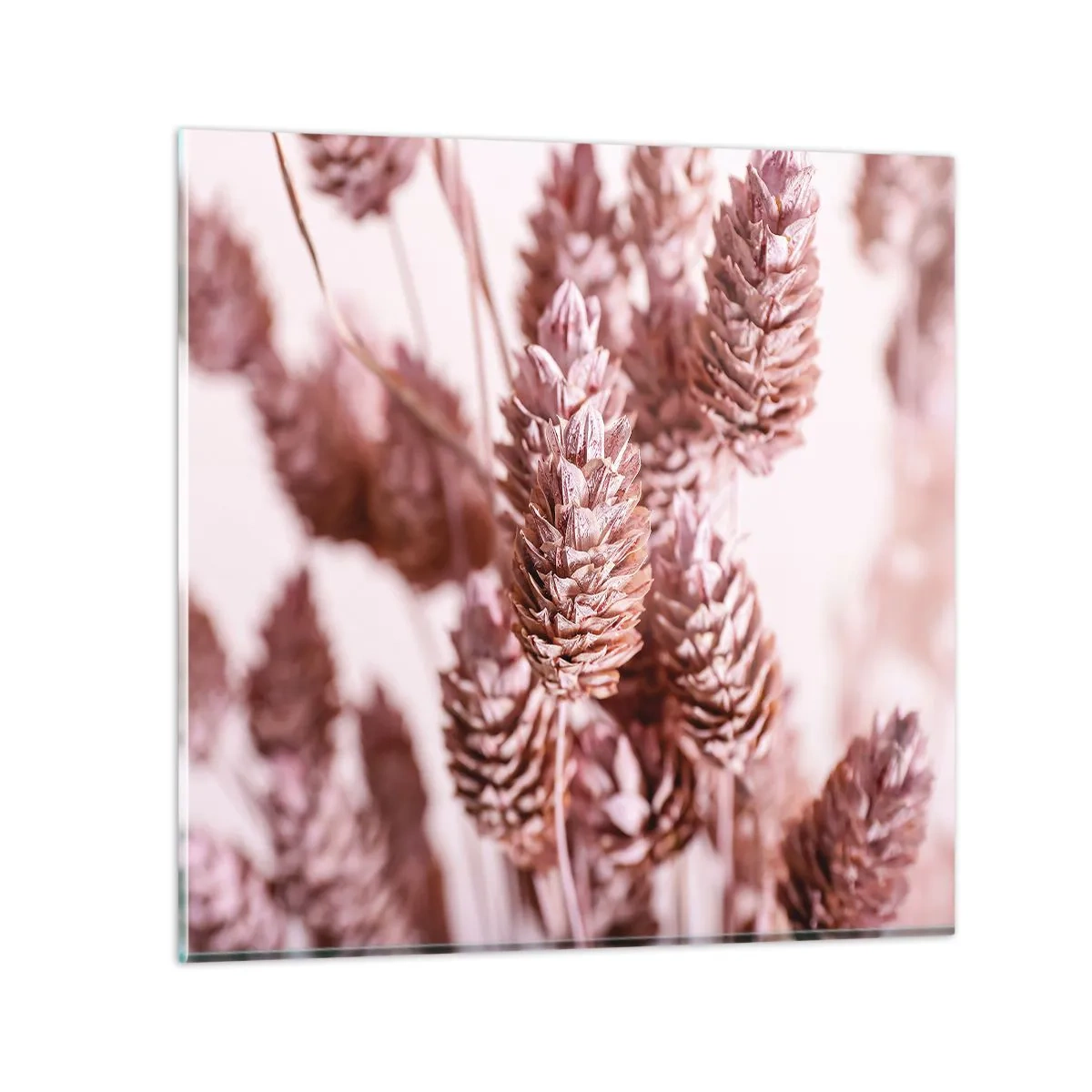 Obraz na skle - Zdanlivo nenápadné - 50x50 cm