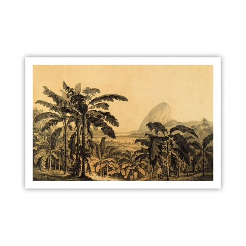 Plagát - V koloniálnom štýle - 91x61 cm