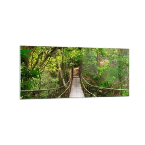 Obraz na skle - Lebo na záhrade rastú popínavé rastliny - 120x50 cm