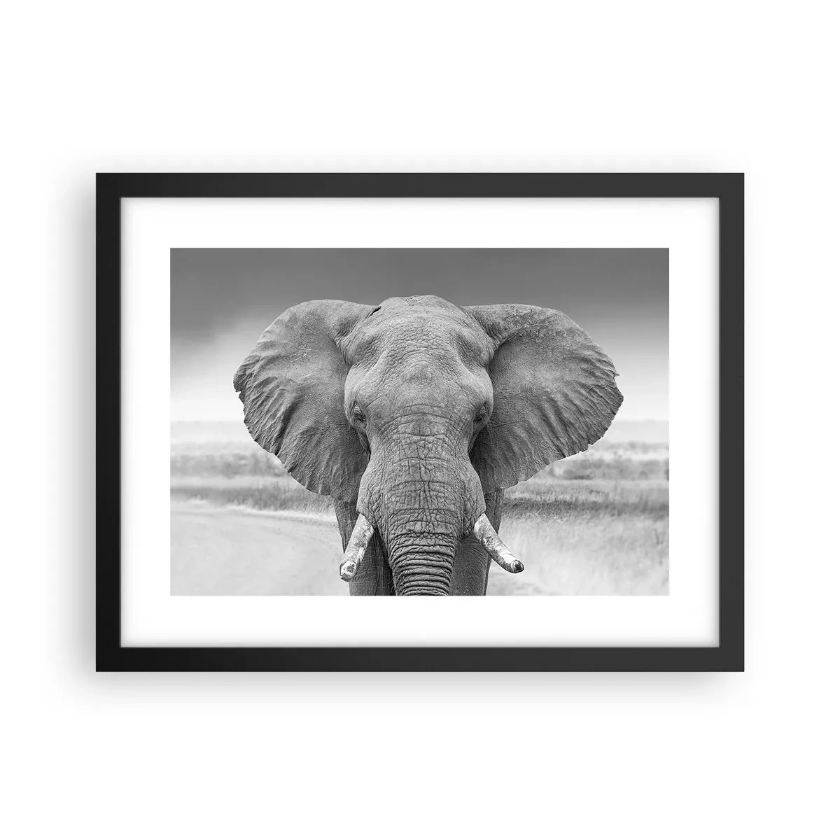 Plagát v čiernom ráme - Vitajte v mojom svete - 40x30 cm